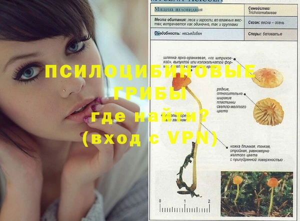 синтетический гашиш Зерноград
